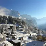 Birkli By Interhome * Wengen