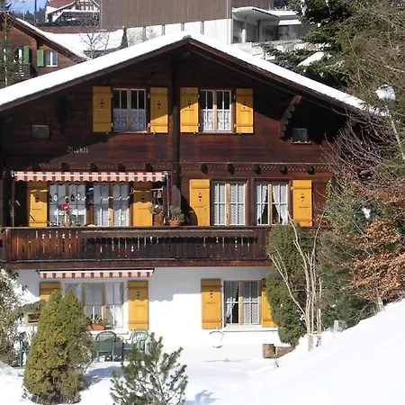 Birkli By Interhome * Wengen
