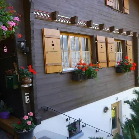 Birkli By Interhome Appartement