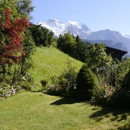 Birkli By Interhome * Wengen