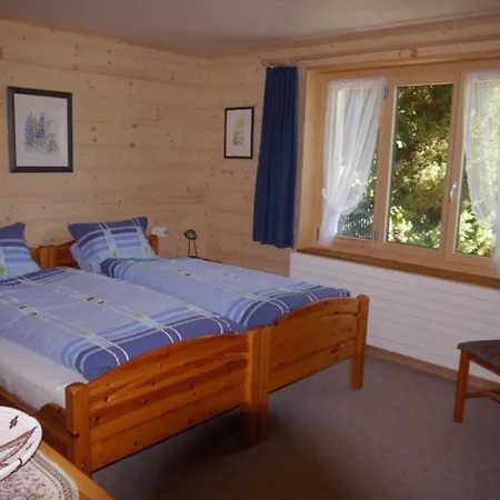 Apartment Birkli By Interhome Wengen