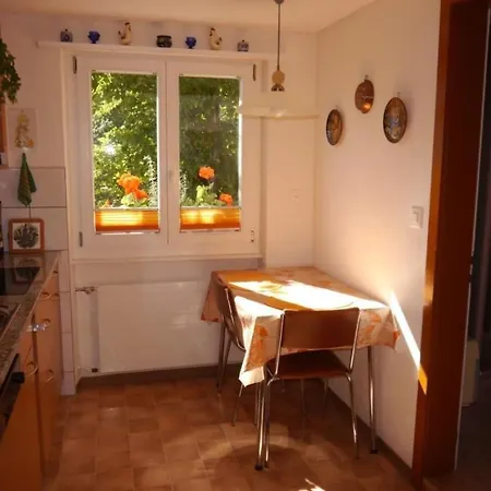 Birkli By Interhome Appartement