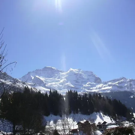 Appartement Birkli By Interhome