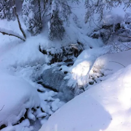 Apartment Birkli By Interhome