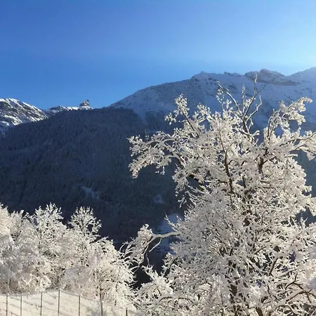 Apartment Birkli By Interhome *