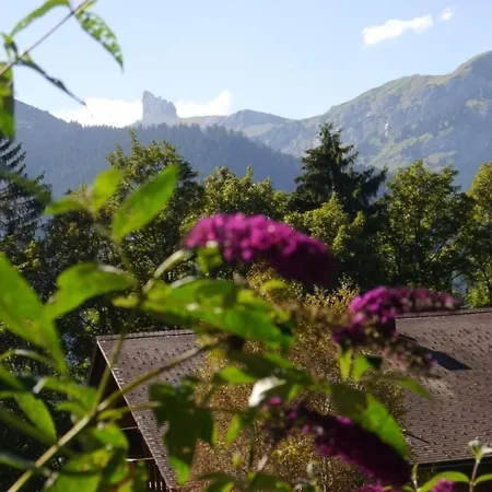 Birkli By Interhome Wengen