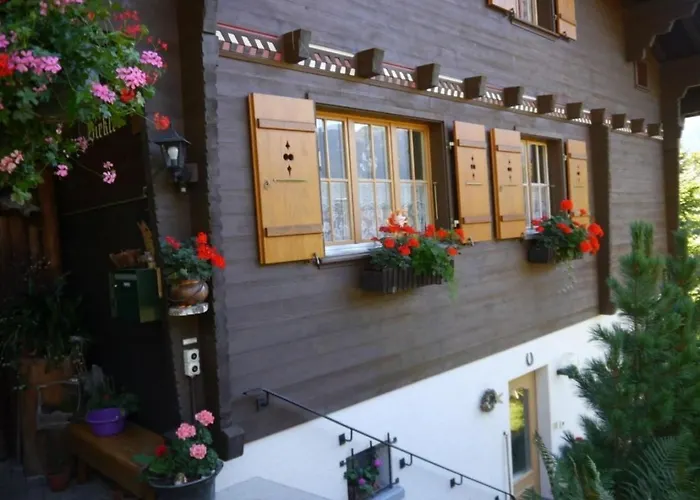 Birkli By Interhome Apartment