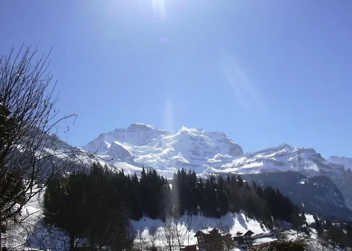 Lejlighed Birkli By Interhome