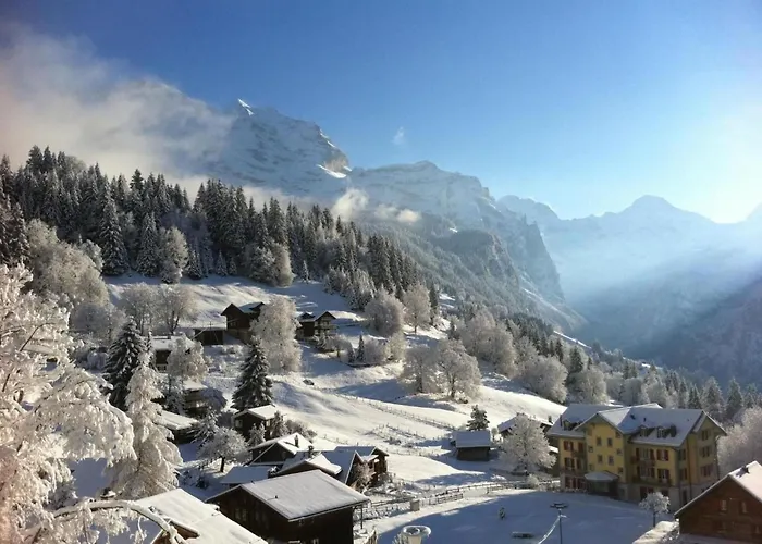 Birkli By Interhome * Wengen