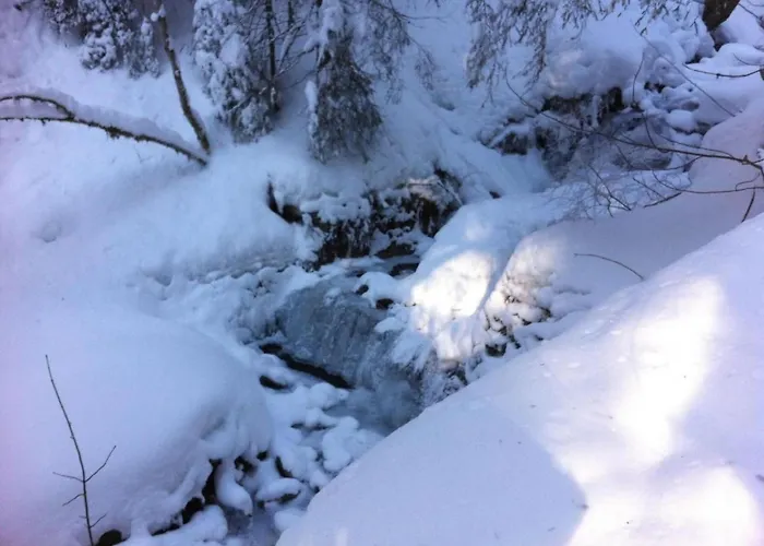 Apartment Birkli By Interhome