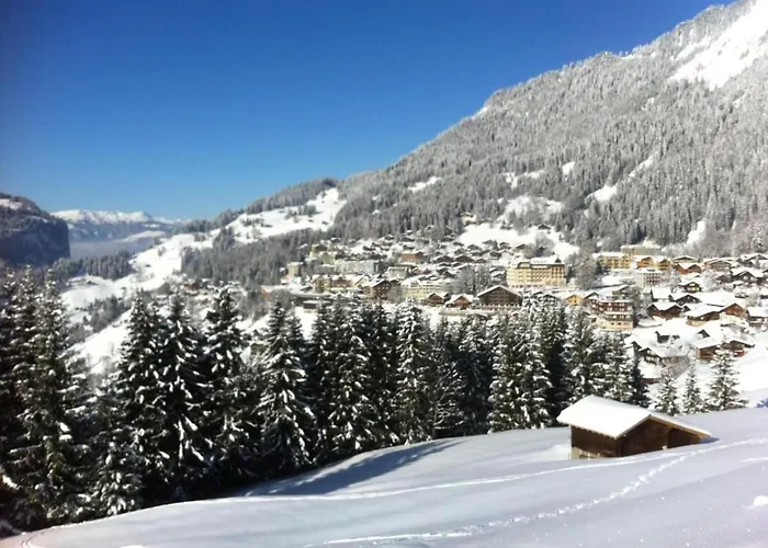 Birkli By Interhome *