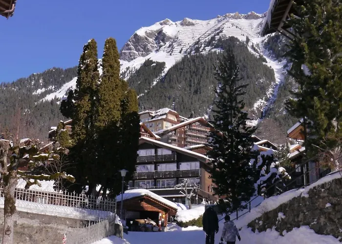 Birkli By Interhome *