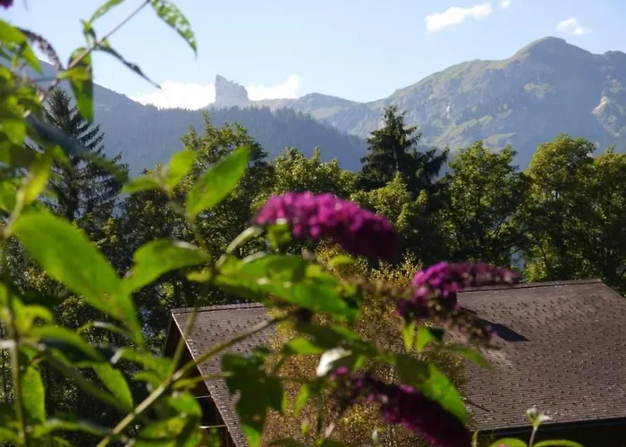 Birkli By Interhome Wengen